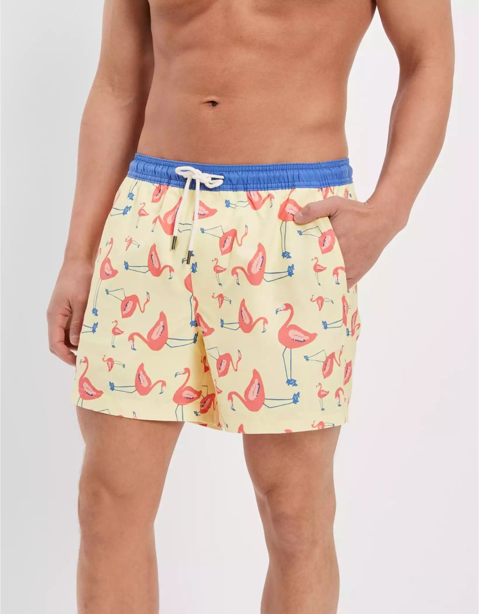 Shorts American Eagle AE 5.5